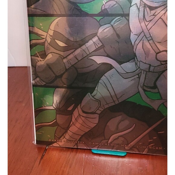 TEENAGE MUTANT NINJA TURTLES BLACK WHITE & GREEN #1 1:10 Inc Ganucheau Variant - Picture 5 of 5